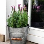 Galvanised Bucket / Garden Planter
