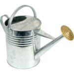 9ltr 2 GALLON galvanised watering can