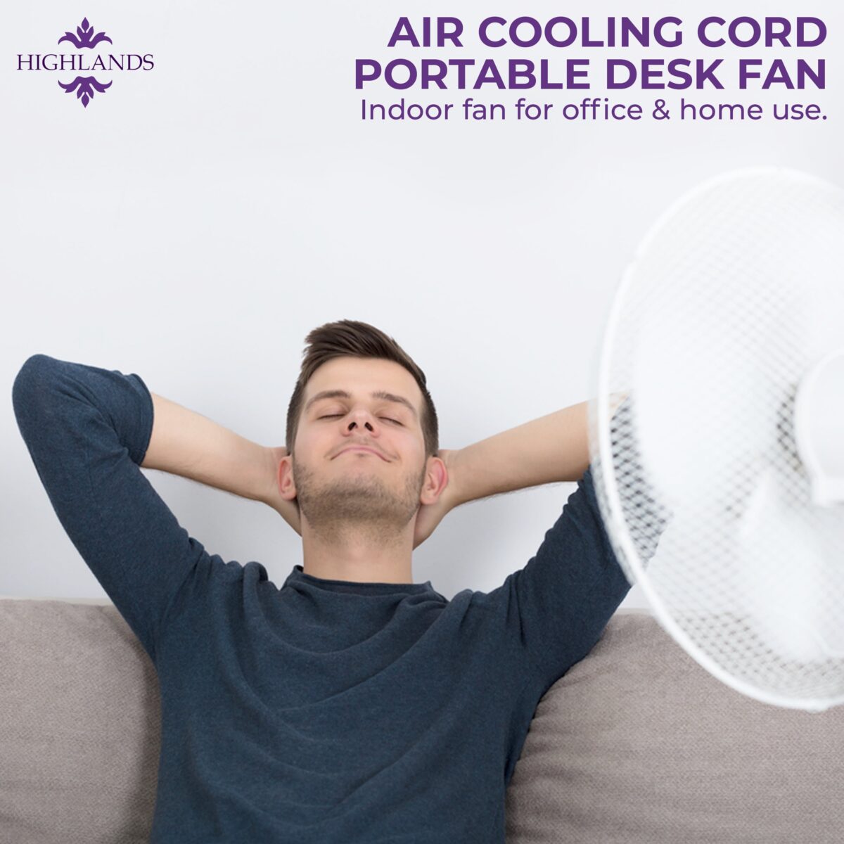 12 Inch Desk Fan